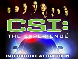 CSI the Experience Logo