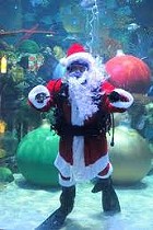 Santa Underwater at Silverton